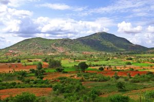 Live Sports Betting India in Karnataka: Complete 2027 Guide for Indian Players
